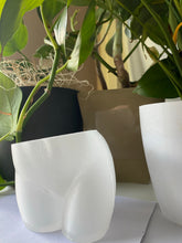 Load image into Gallery viewer, Planter (bottom) - white
