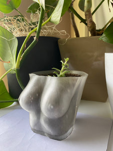 Planter (top) - clear