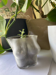 Planter (top) - clear